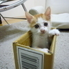 CaT24さんのプロフィール画像