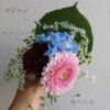 harukaさんのプロフィール画像