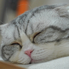 rsdh2012さんのプロフィール画像