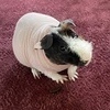 えんちゃんさんのプロフィール画像