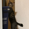 ひろっちさんのプロフィール画像