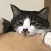 チップビンさんのプロフィール画像