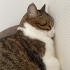 Yukikoさんのプロフィール画像