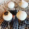 tatsunoさんのプロフィール画像