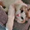 アキさんのプロフィール画像