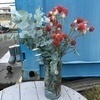 ミシママ