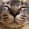 ゆきのりさんのプロフィール画像