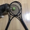 SHIGATENIさんのプロフィール画像