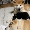 Tさんのプロフィール画像