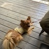 rumirumiさんのプロフィール画像