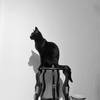 猫の手さんのプロフィール画像