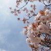 トコとこさんのプロフィール画像