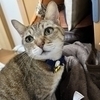 なつきちさんさんのプロフィール画像