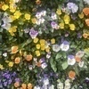 まつのさんのプロフィール画像