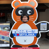 コダマンさんのプロフィール画像