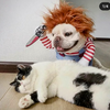 ゆうさんのプロフィール画像