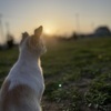 mocoさんのプロフィール画像