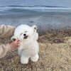 yさんのプロフィール画像