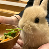 まさひろさんのプロフィール画像