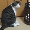ギルガメさんのプロフィール画像
