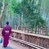 すぎちんさんのプロフィール画像