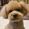 shizukaさんのプロフィール画像