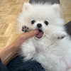 ニョロさんのプロフィール画像