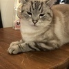 なめたけさんのプロフィール画像