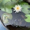 SHさんのプロフィール画像