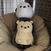 K‪☺︎‬さんのプロフィール画像
