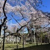 CAREさんのプロフィール画像