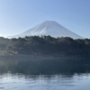 りさんのプロフィール画像