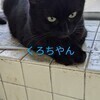 サト
