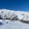 Shiyannさんのプロフィール画像
