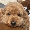 やまたかさんのプロフィール画像