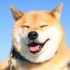 犬好きさんのプロフィール画像