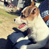 AOさんのプロフィール画像