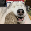 てちさんのプロフィール画像