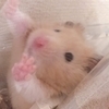 ねい