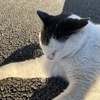カラフルさんのプロフィール画像