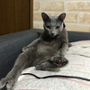 まーずんさんのプロフィール画像