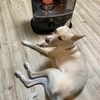 もりたさんのプロフィール画像