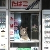 大野さんのプロフィール画像