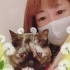 はるたんさんのプロフィール画像