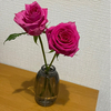 みなみさんのプロフィール画像