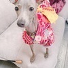 aicoさんのプロフィール画像