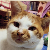 うーたさんのプロフィール画像