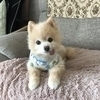 きょうこさんのプロフィール画像