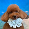 Ryuji Nakaさんのプロフィール画像