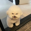古橋さんのプロフィール画像